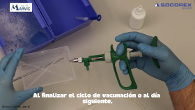 Socorex