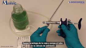 Socorex