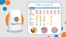 Socorex